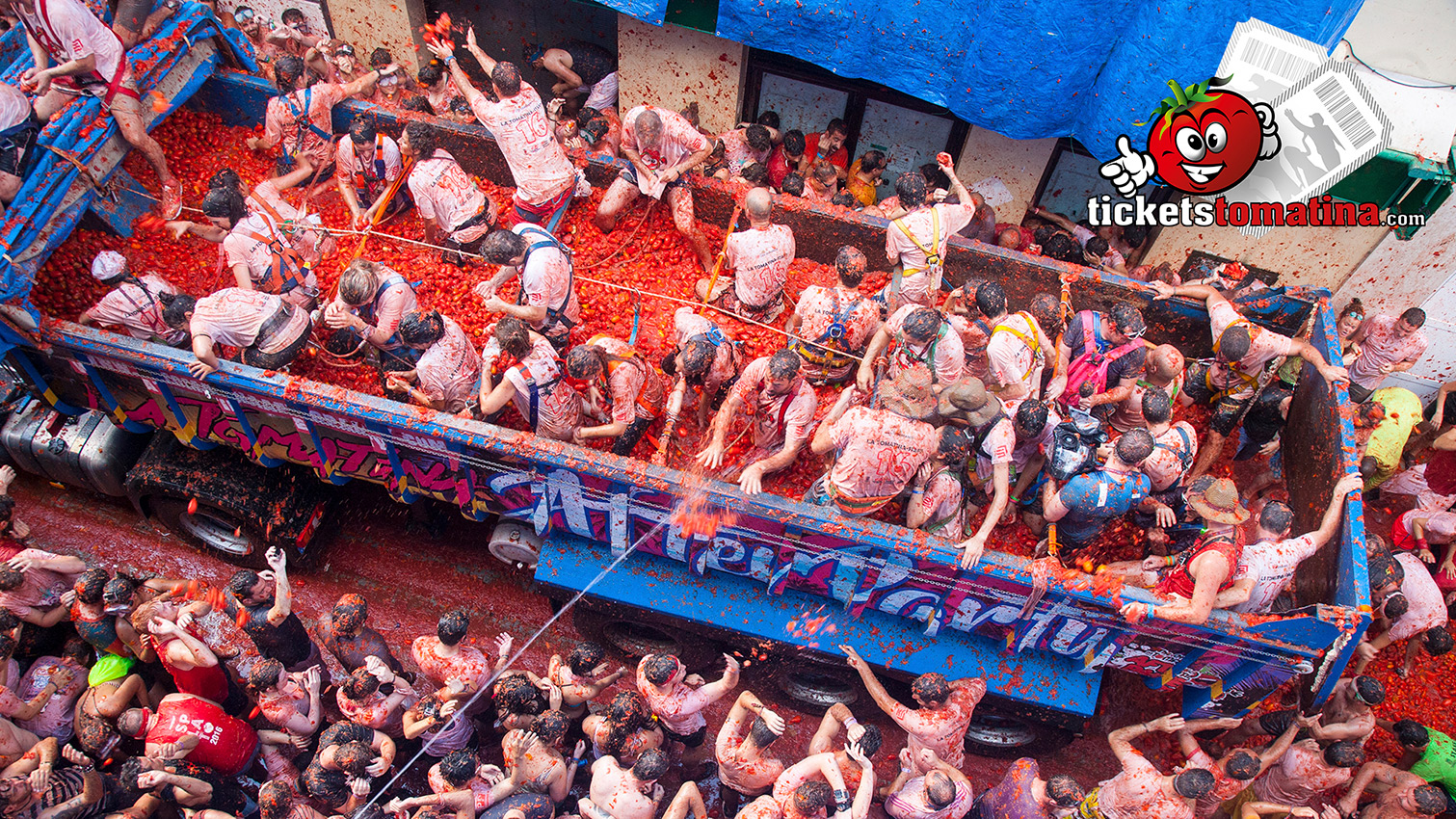 La Tomatina 2025 Tickets Kolkata Virginia Davidson